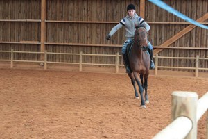 Equitation DIPS