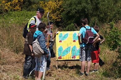 Tir à l'arc