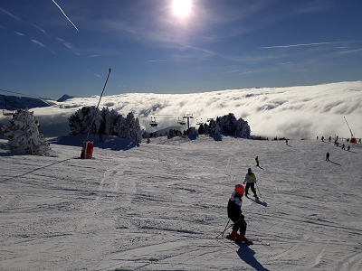 ski